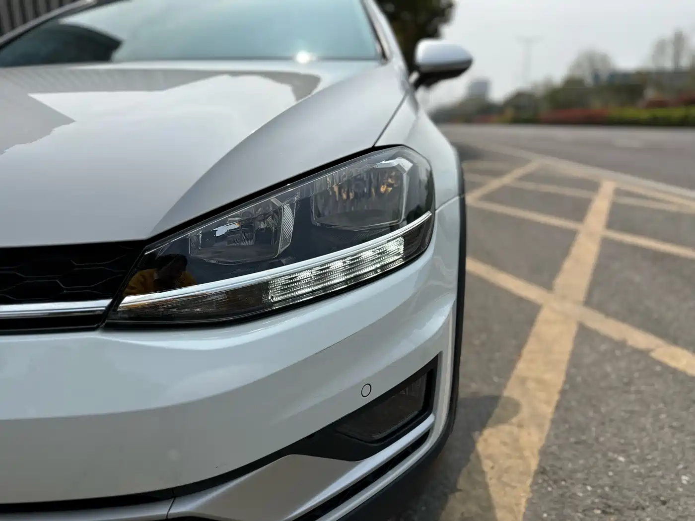 Volkswagen Golf (Import) 2019 1.8TSI Wagon фото 21