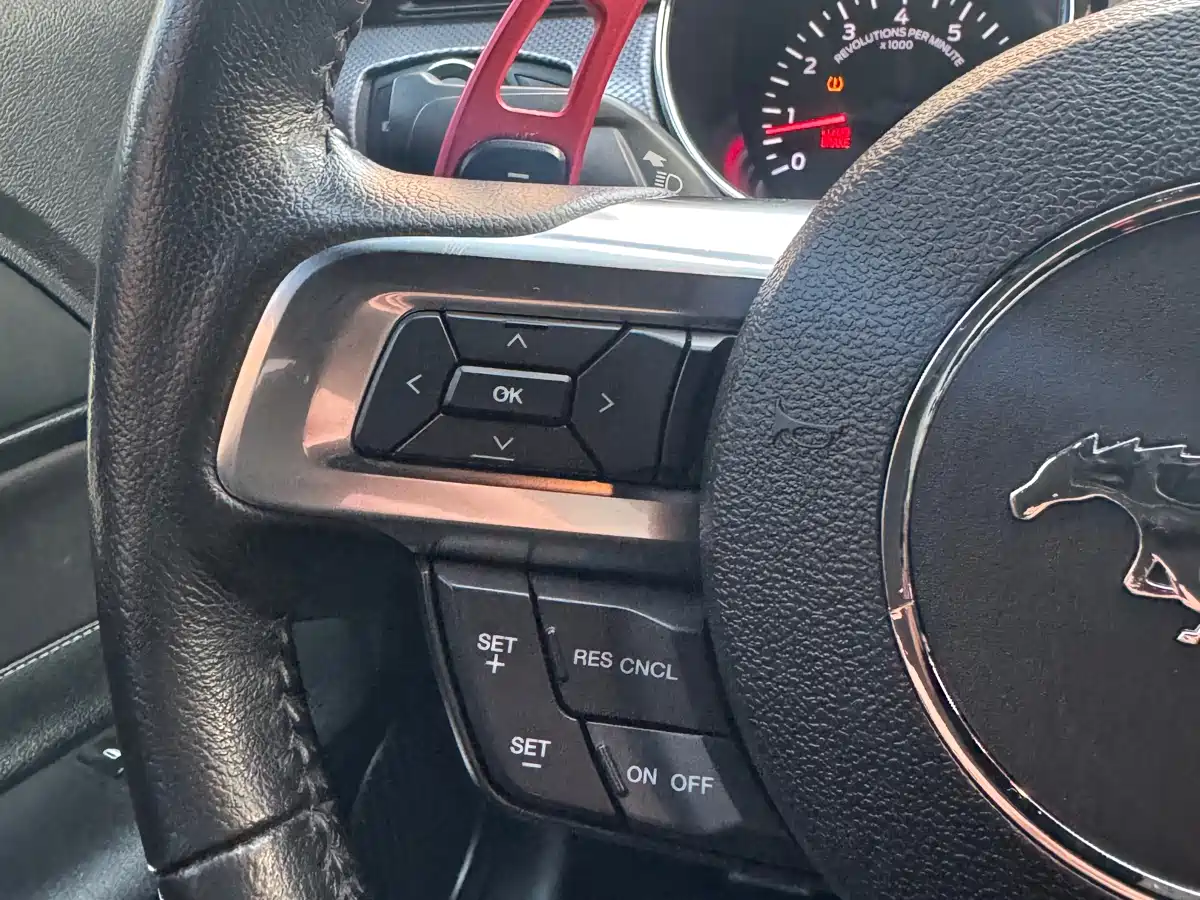 Ford Mustang 2015 2015 2.3T Performance Edition