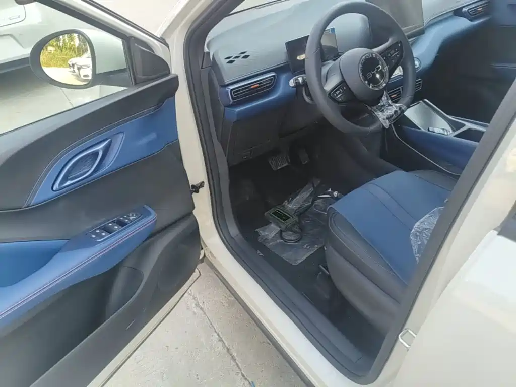 صورة 16 - BYD Seagull