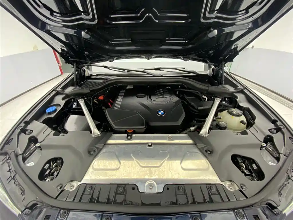 BMW X3 2023 xDrive30i Leading M Night Package фото 12