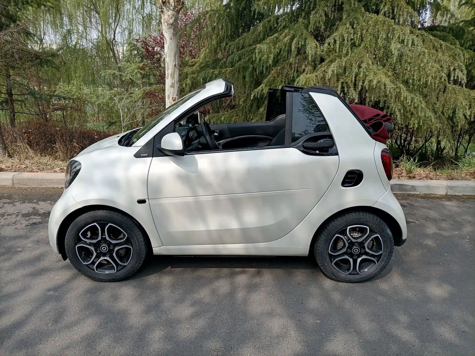 صورة 12 - smart fortwo