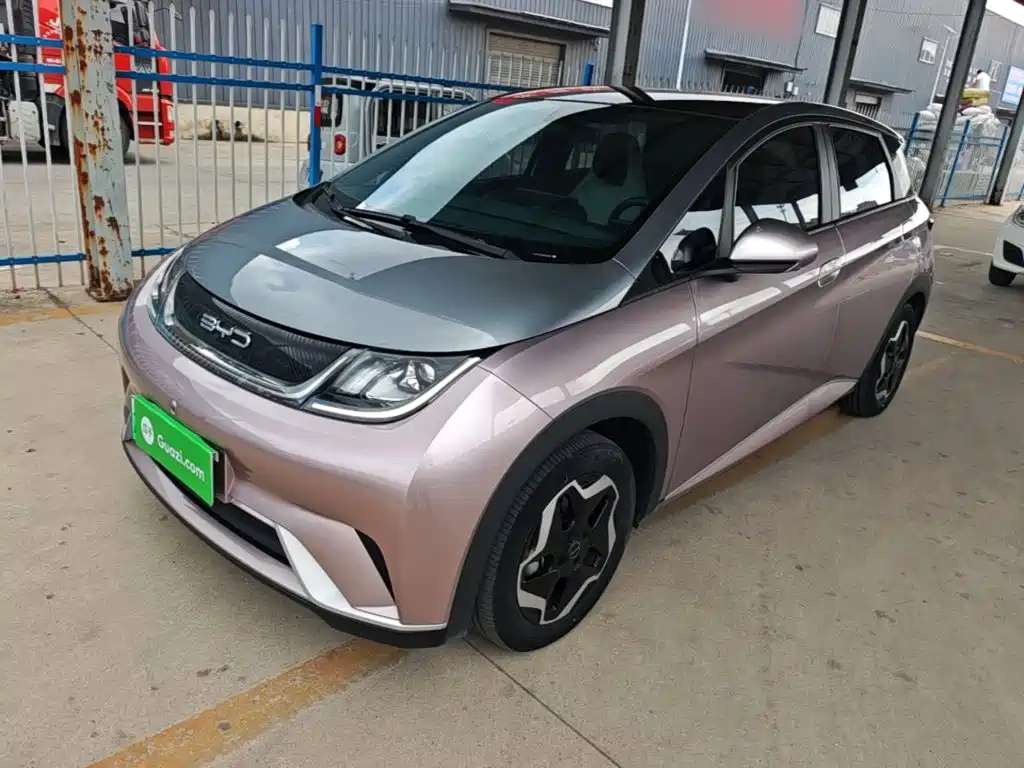 BYD Dolphin 2021