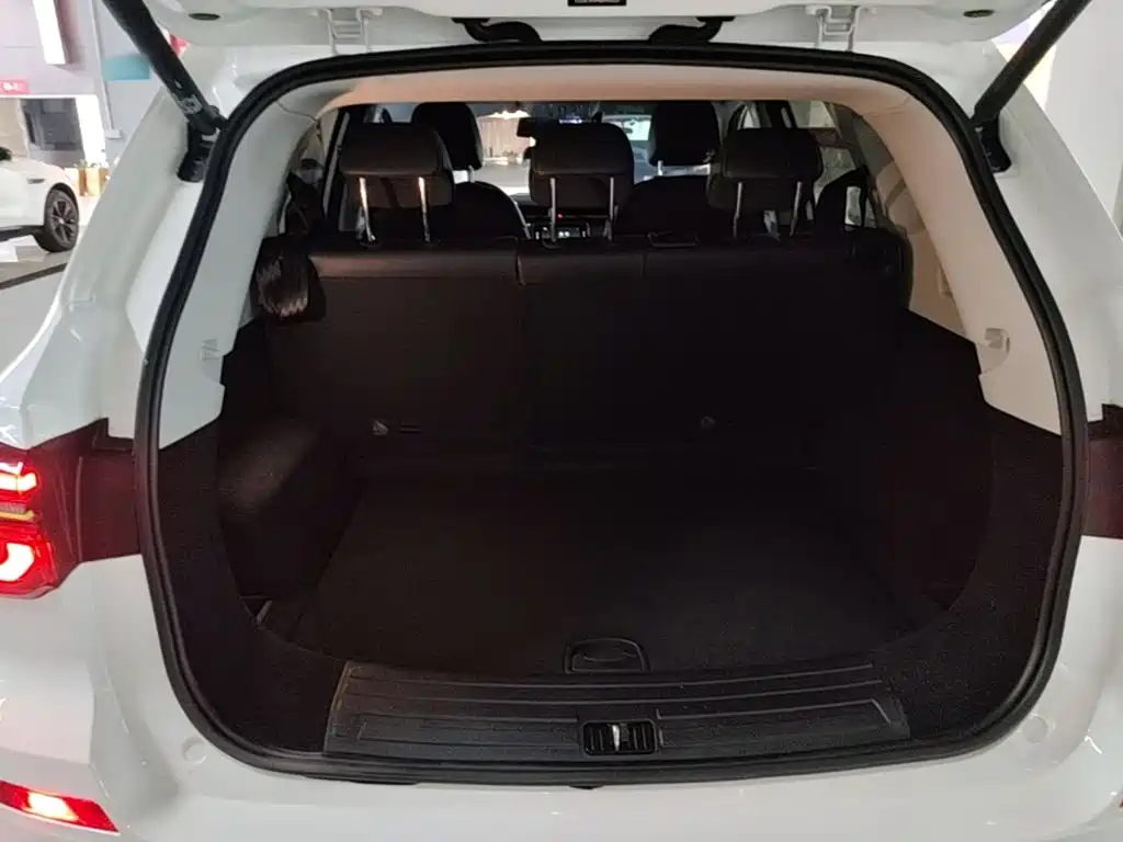 Фото 19 - Roewe RX5