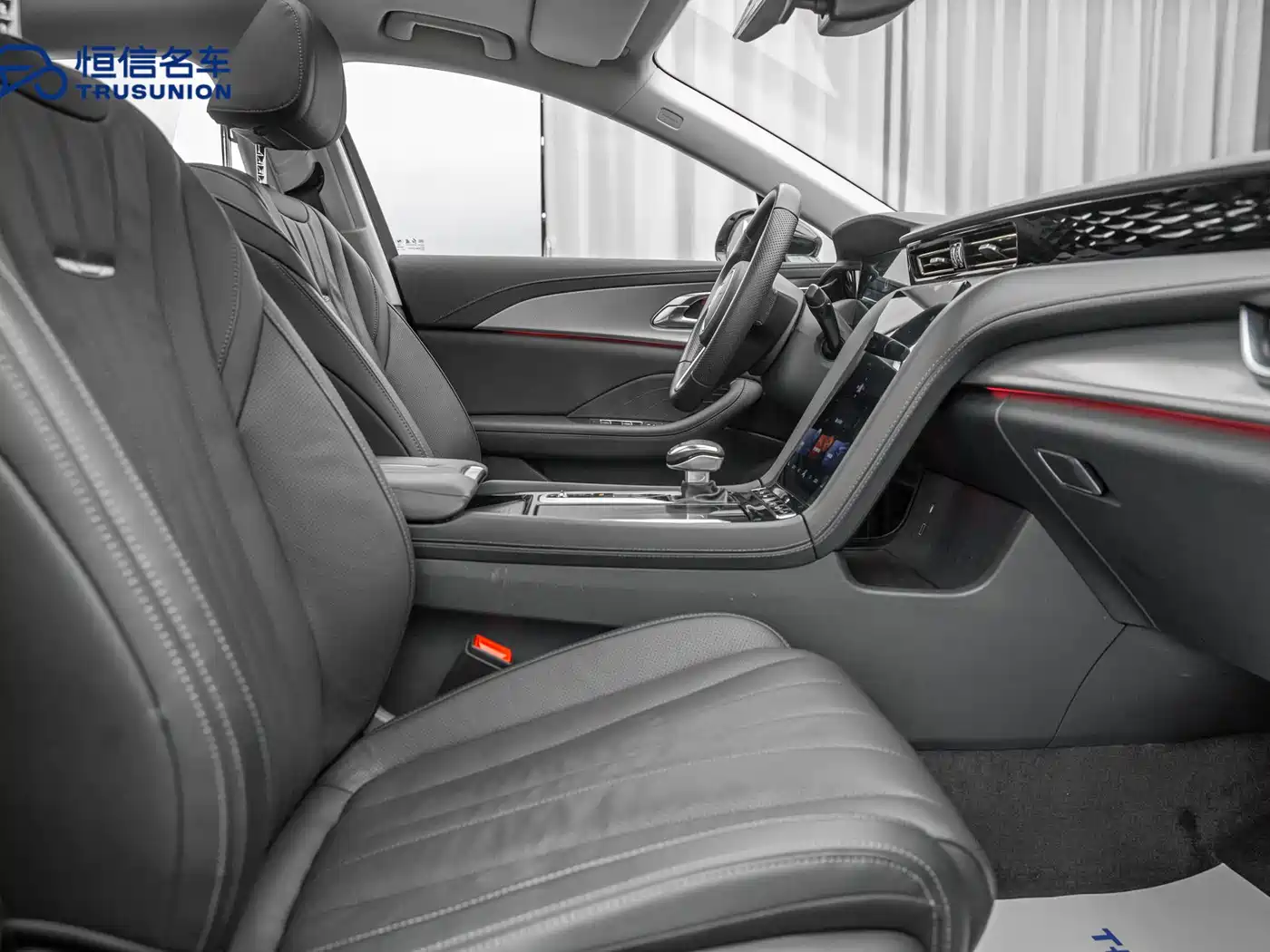 Hongqi H5 2023 2.0T Auto Smart Connect Flag Comfort фото 14