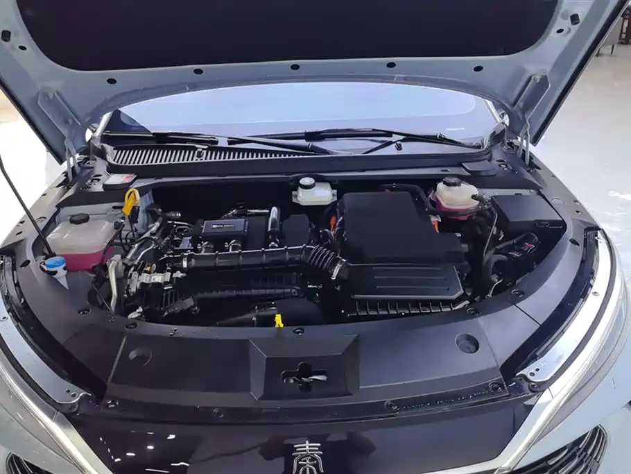BYD Qin L 2024 DM-i 80KM Superior фото 10
