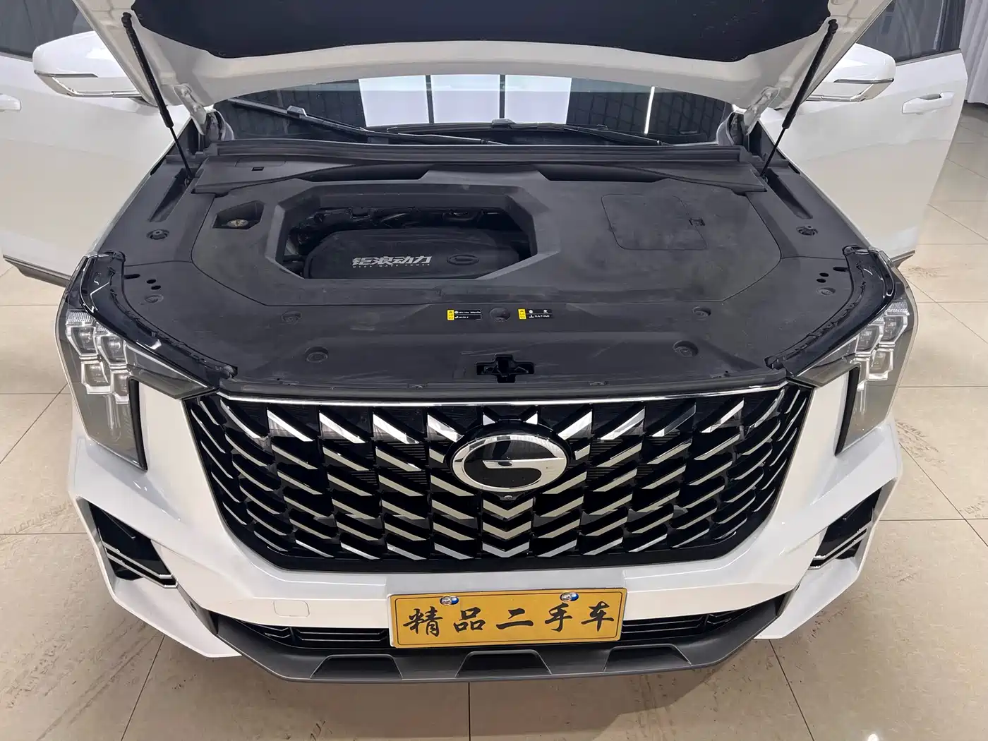 GAC Trumpchi Trumpchi GS8 2024 Navigator Series 2.0TGDI 2WD Luxury Smart Connect Edition фото 16