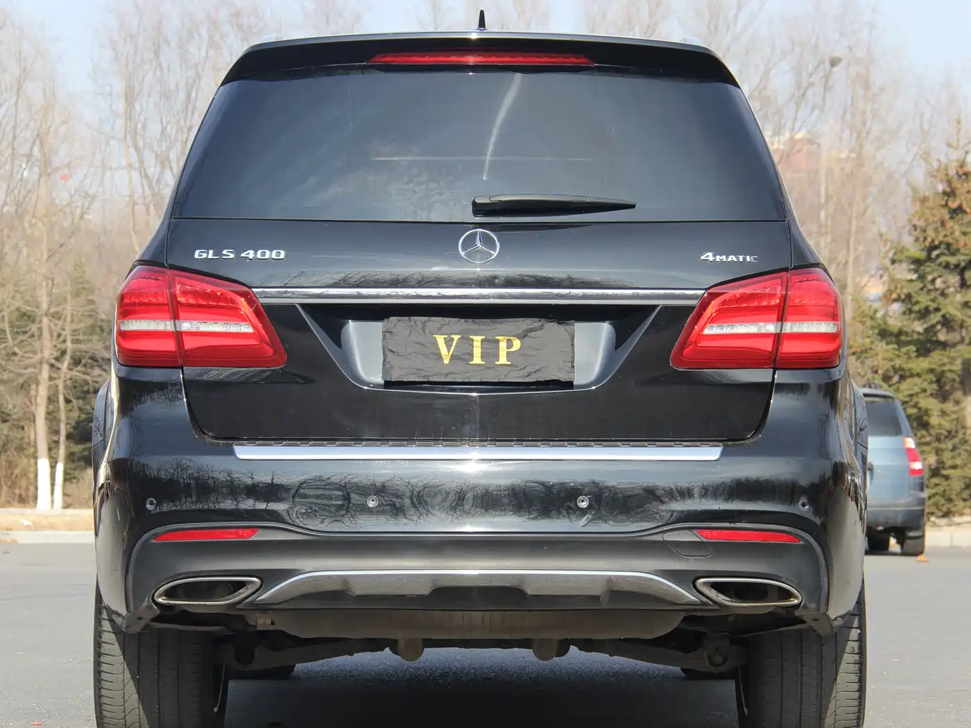 Mercedes-Benz GLS 2017 GLS 400 4MATIC Luxury фото 5