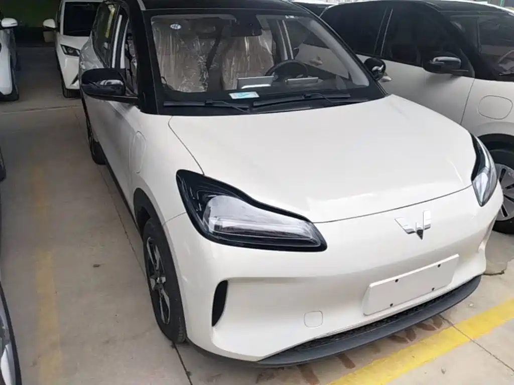 Wuling Motors Wuling Binguo PLUS 2026 2024 Model 330km 5-Seater