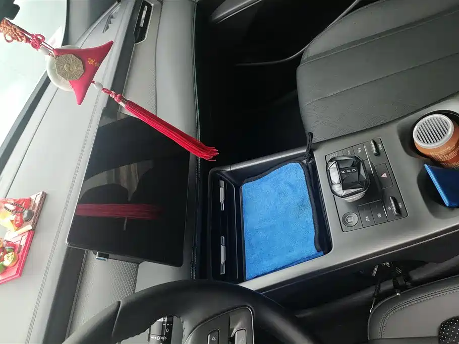 BYD Qin PLUS 2025 DM-i Smart Drive 55KM Leader фото 13
