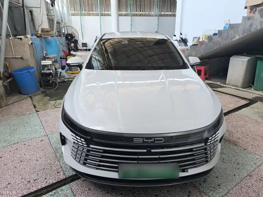 Фото 3 - BYD Destroyer 05