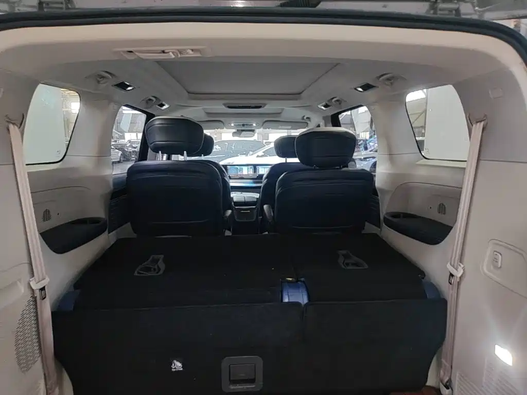 SAIC Maxus Dajia 9 2023 2022 Long Range Grassland 7-Seater