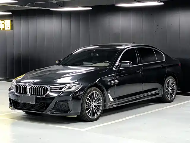 BMW 5 530Li, Лидер, M Спорт-пакет