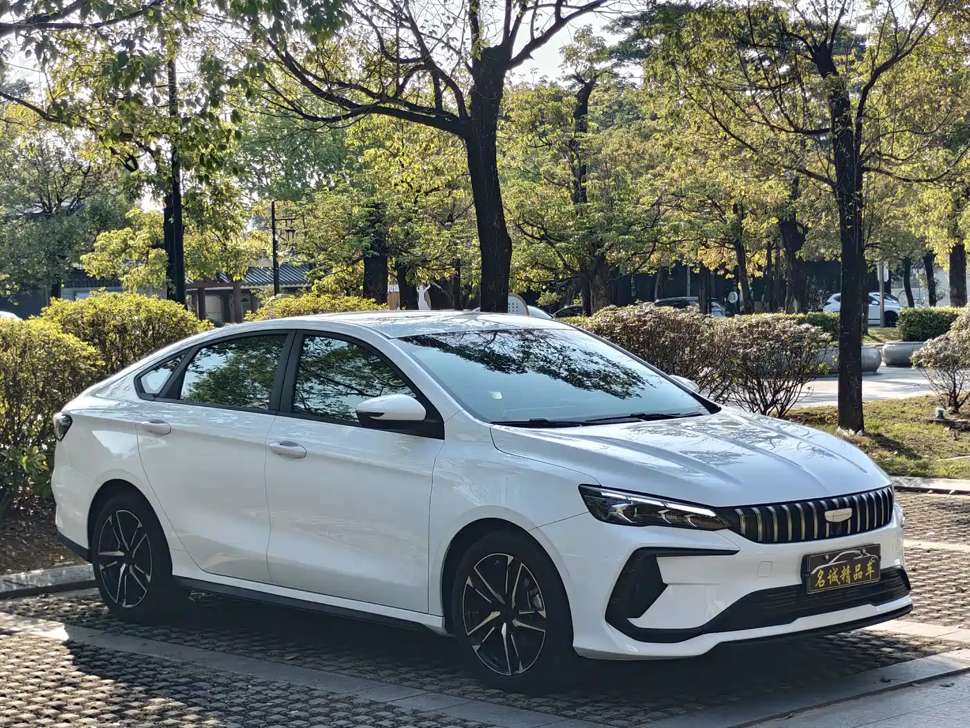 Geely Binrui 2024 2024 Binrui COOL 1.5T DCT Champion Edition