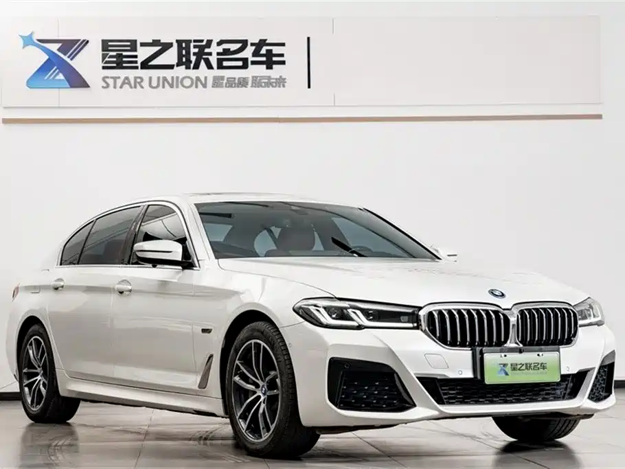 BMW 5 SERIES NEW ENERGY