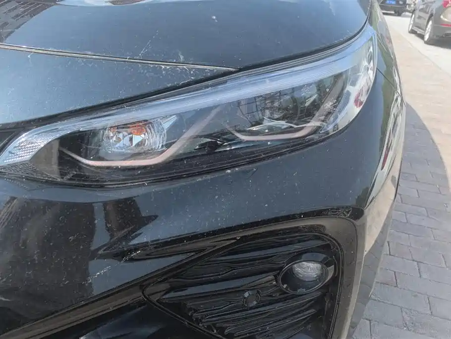 TOYOTA WILANDA