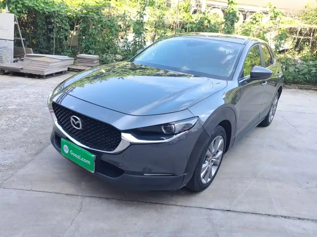 Mazda CX-30 2021 2.0L Auto Elegant Joy Type