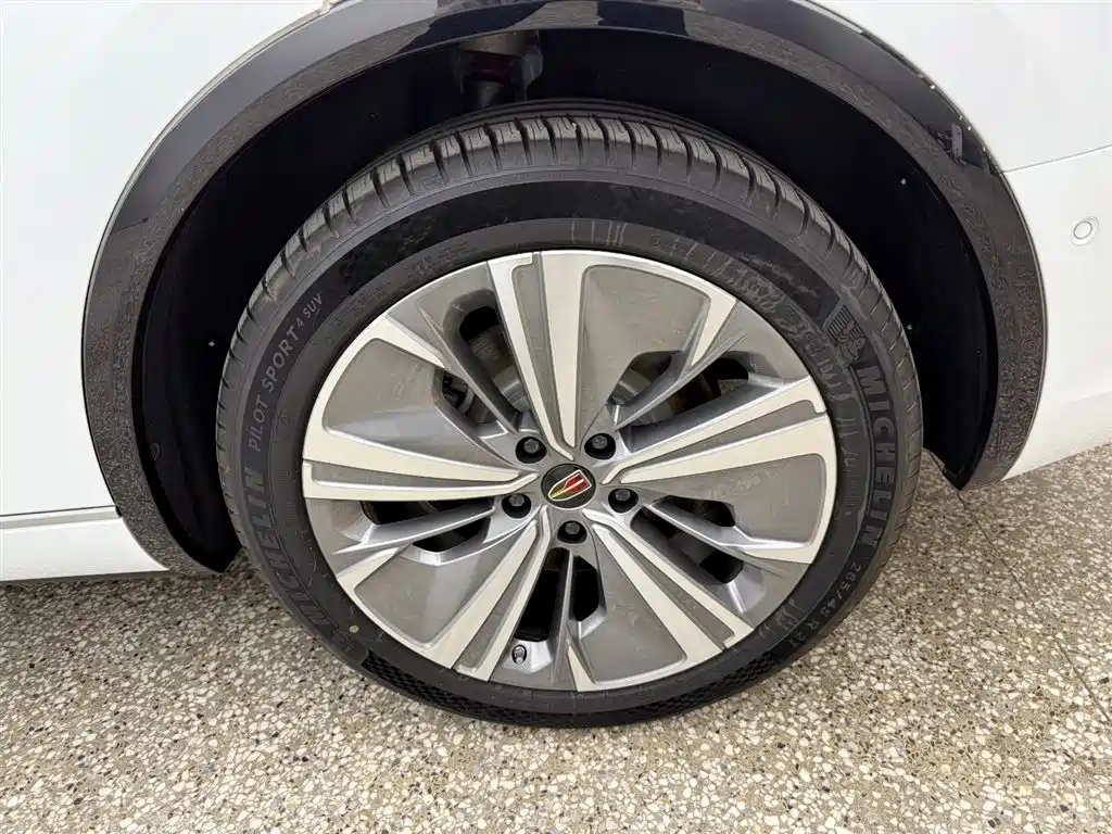 Hongqi E-HS9 2022 660km Qi Chang Edition (6-seater) фото 15