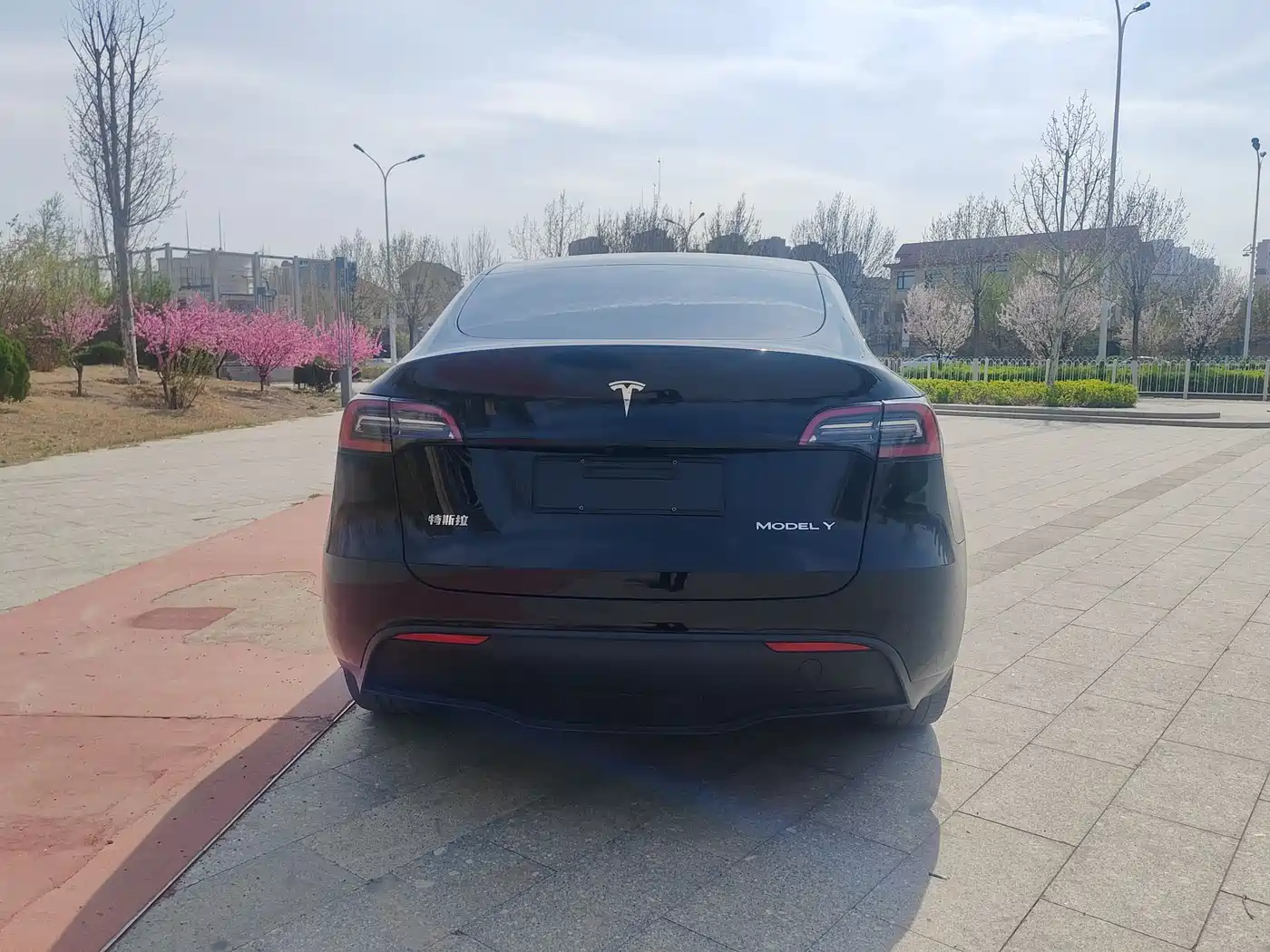TESLA MODEL Y