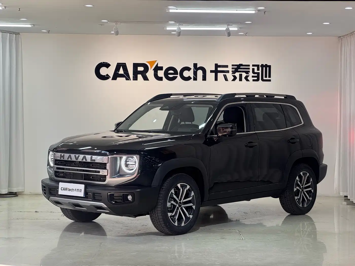 Haval Big Dog 2024 1.5T DCT Border Collie Edition