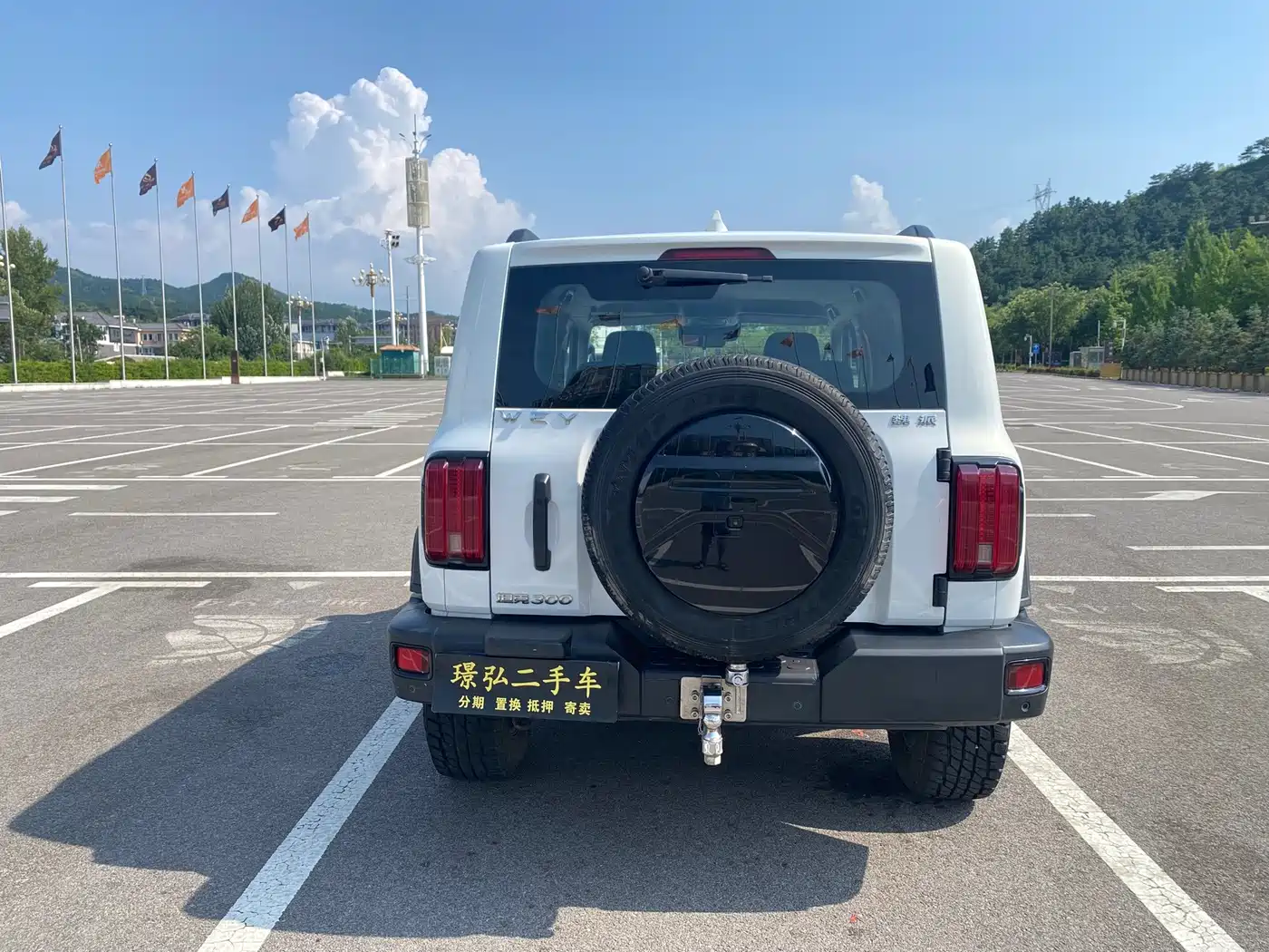 Tank 300 2021 2021 Off-road Edition 2.0T Explorer