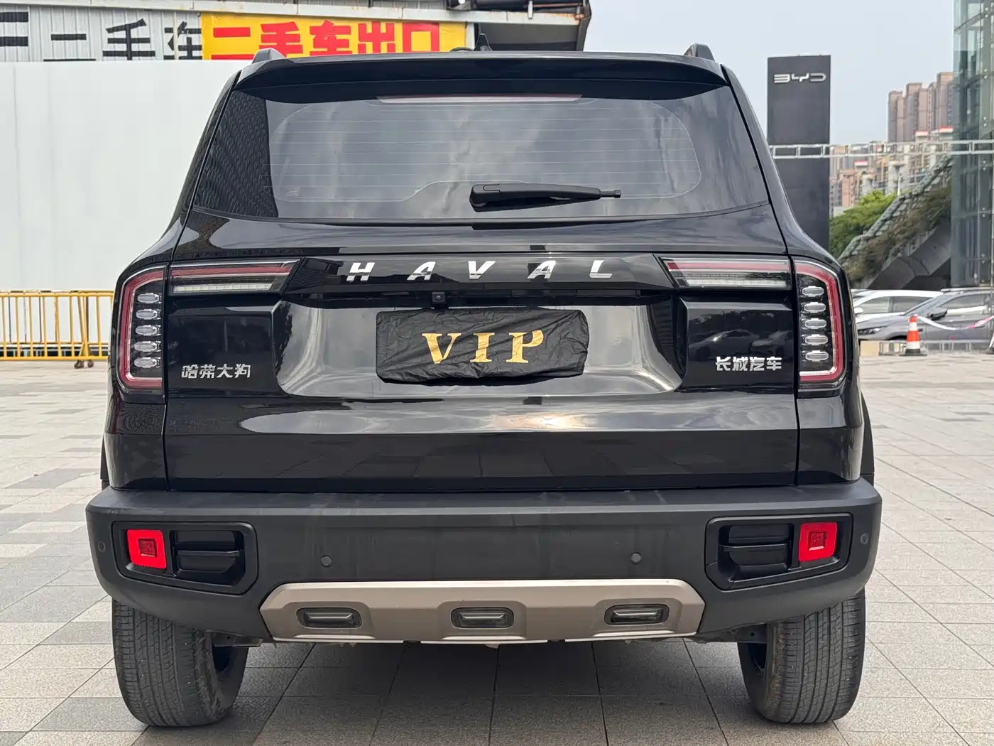 HAVAL BIG DOG