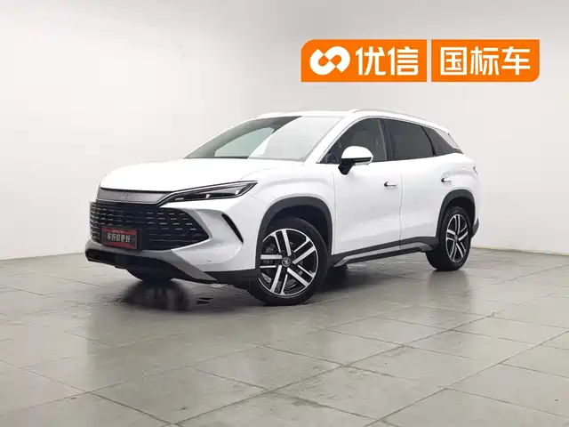 BYD Song L DM-i 2024 75km Leading Edition — фото 1