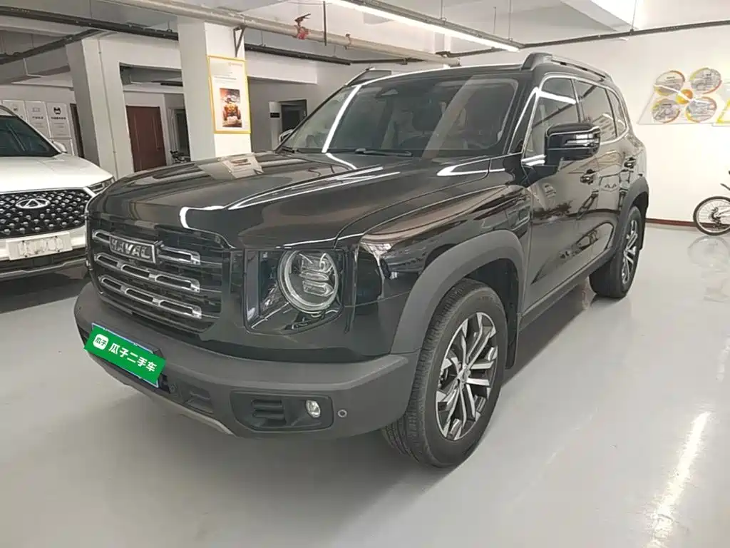 Haval Big Dog 2021 1.5T DCT 2WD Border Collie Edition