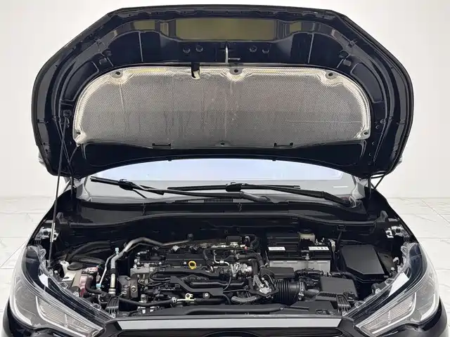 Toyota Frontlander 2023 2.0L CVT Elite Edition фото 13