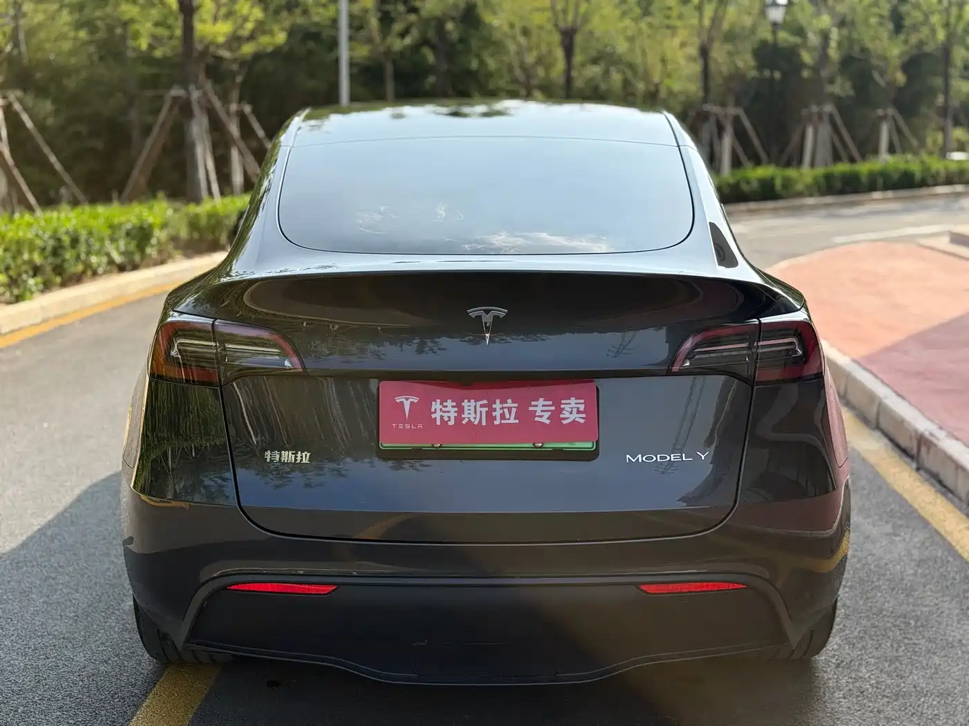TESLA MODEL Y