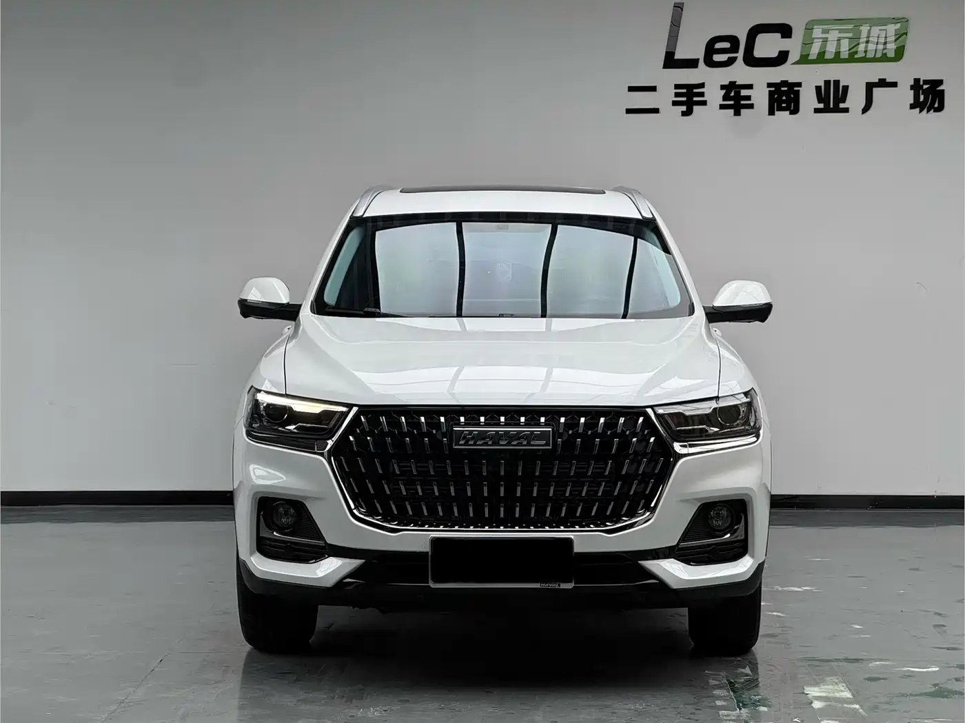 Haval H6 2025 2025 1.5T National Trend Urban Edition