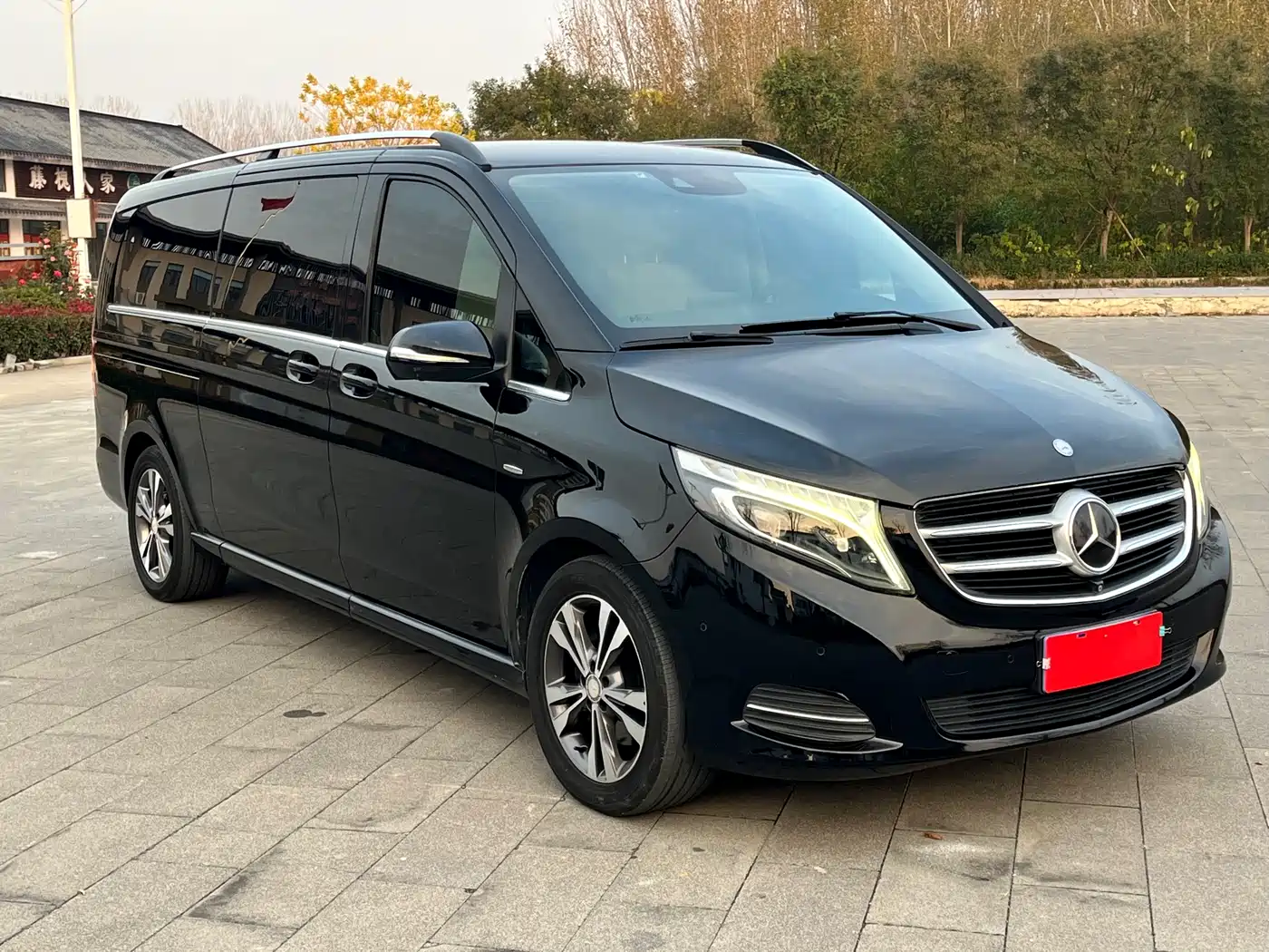 Mercedes-Benz V-Class 2016 V 260 L Premium Long фото 3