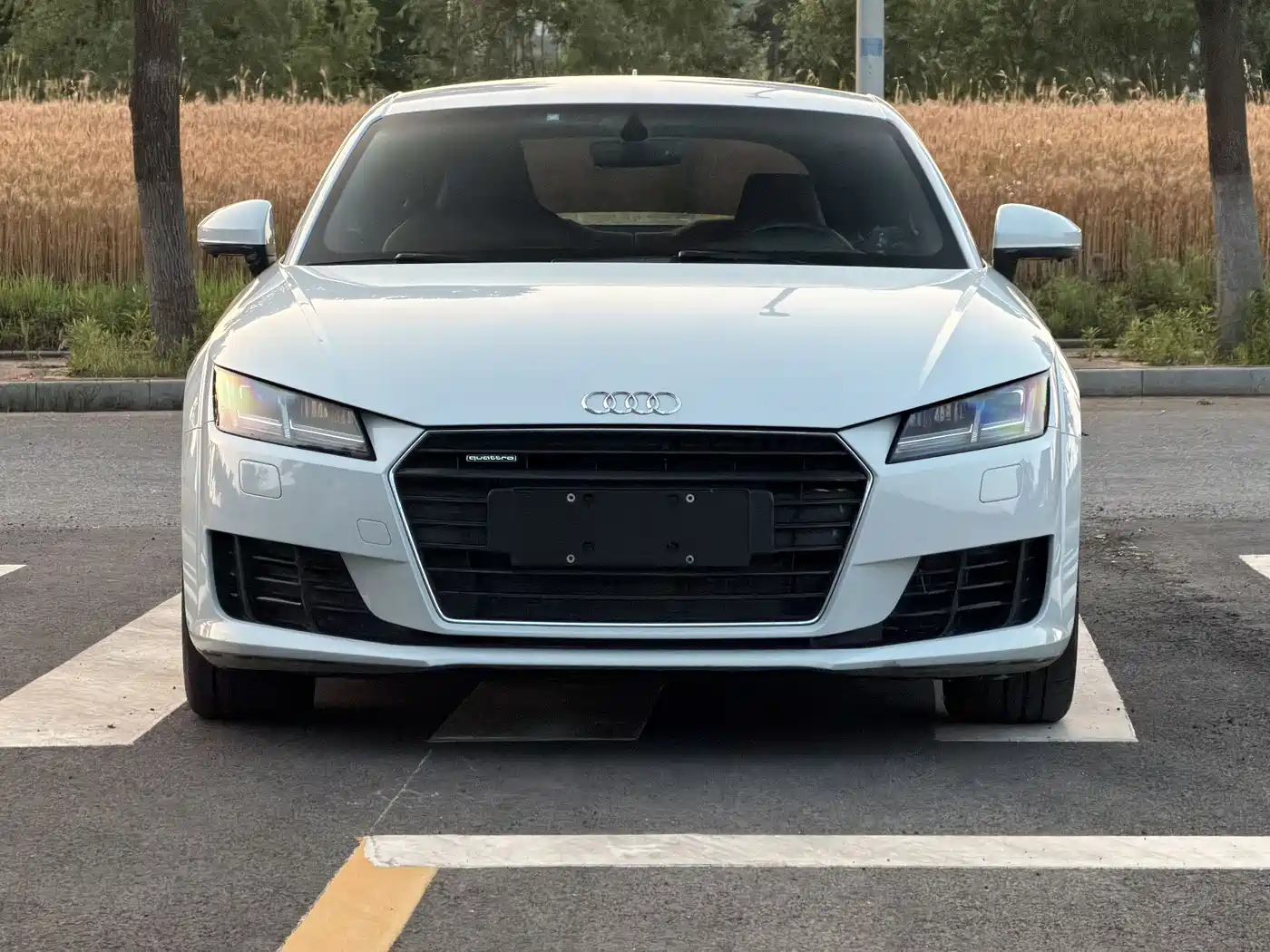 Audi TT 2015 TT Coupe 45 TFSI quattro фото 2