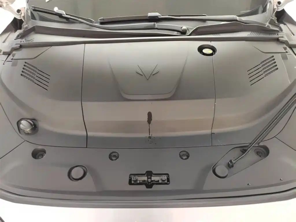 ARCFOX EXTREME FOX POLAR FOX ALPHA S5