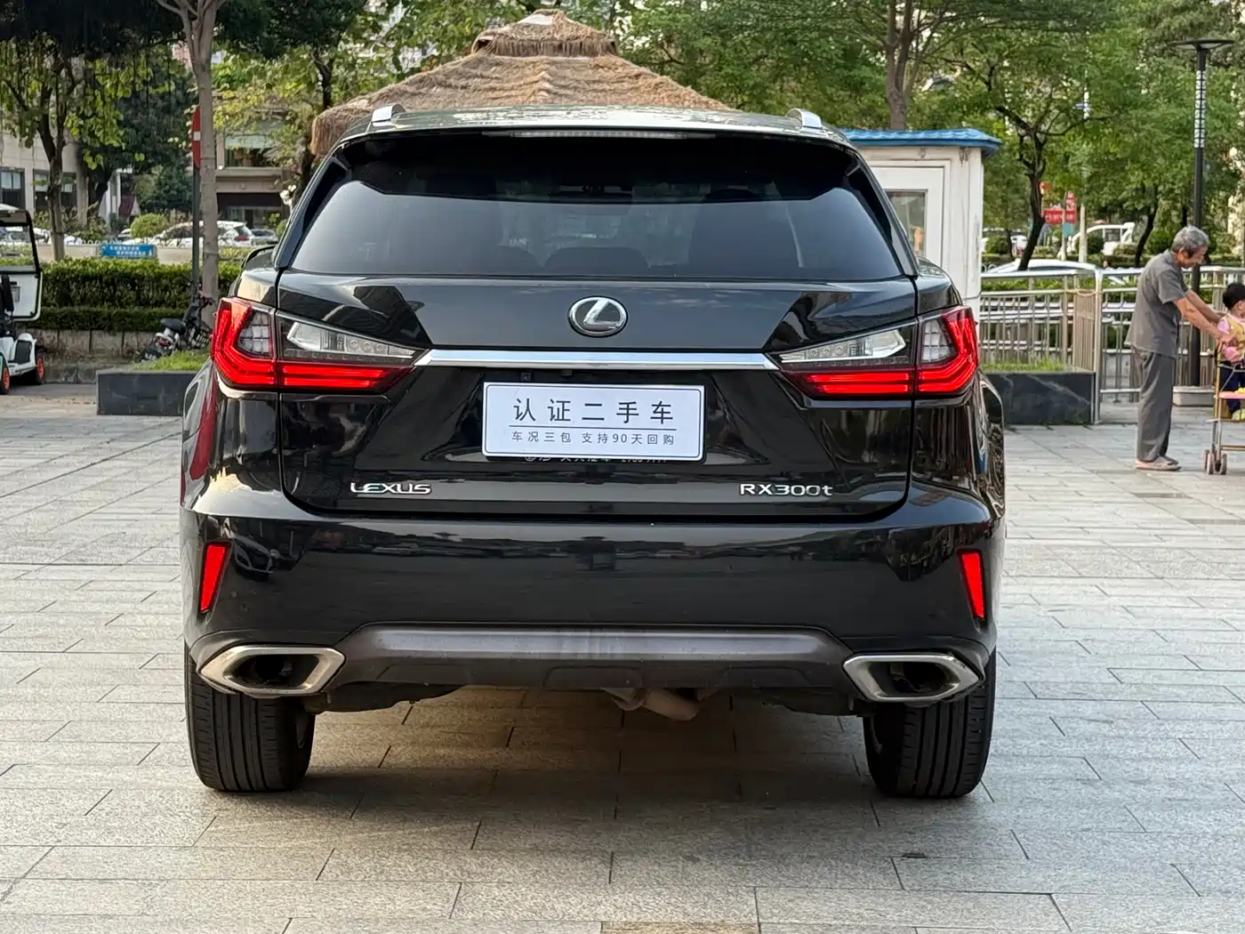 Lexus RX 2016 300 4WD Elegance Edition (China V) фото 5