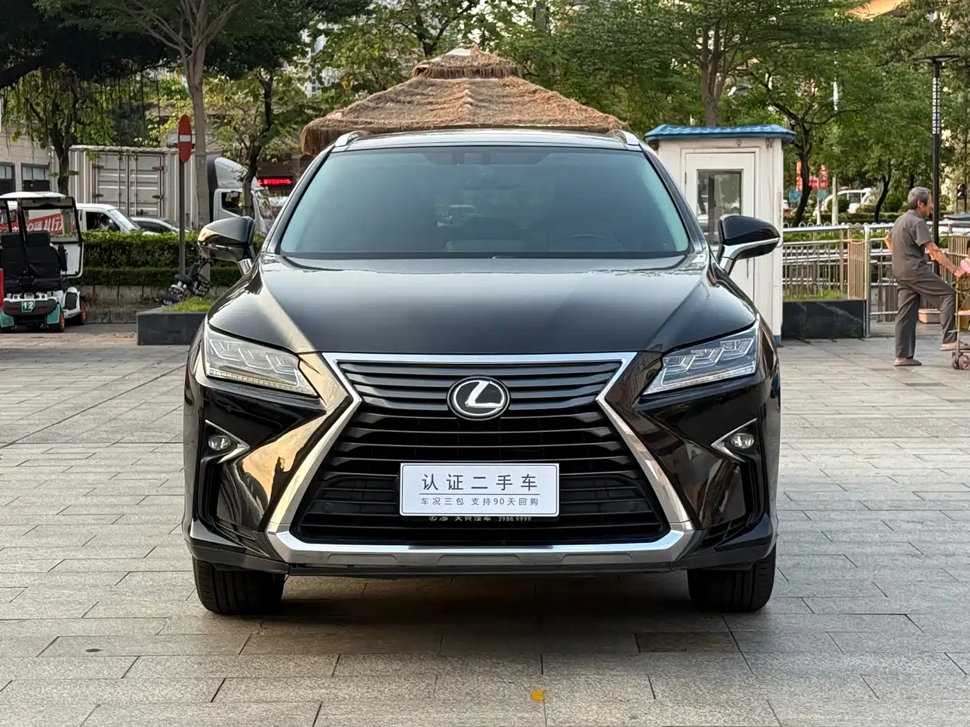 Lexus RX 2016 300 4WD Elegance Edition (China V) фото 2
