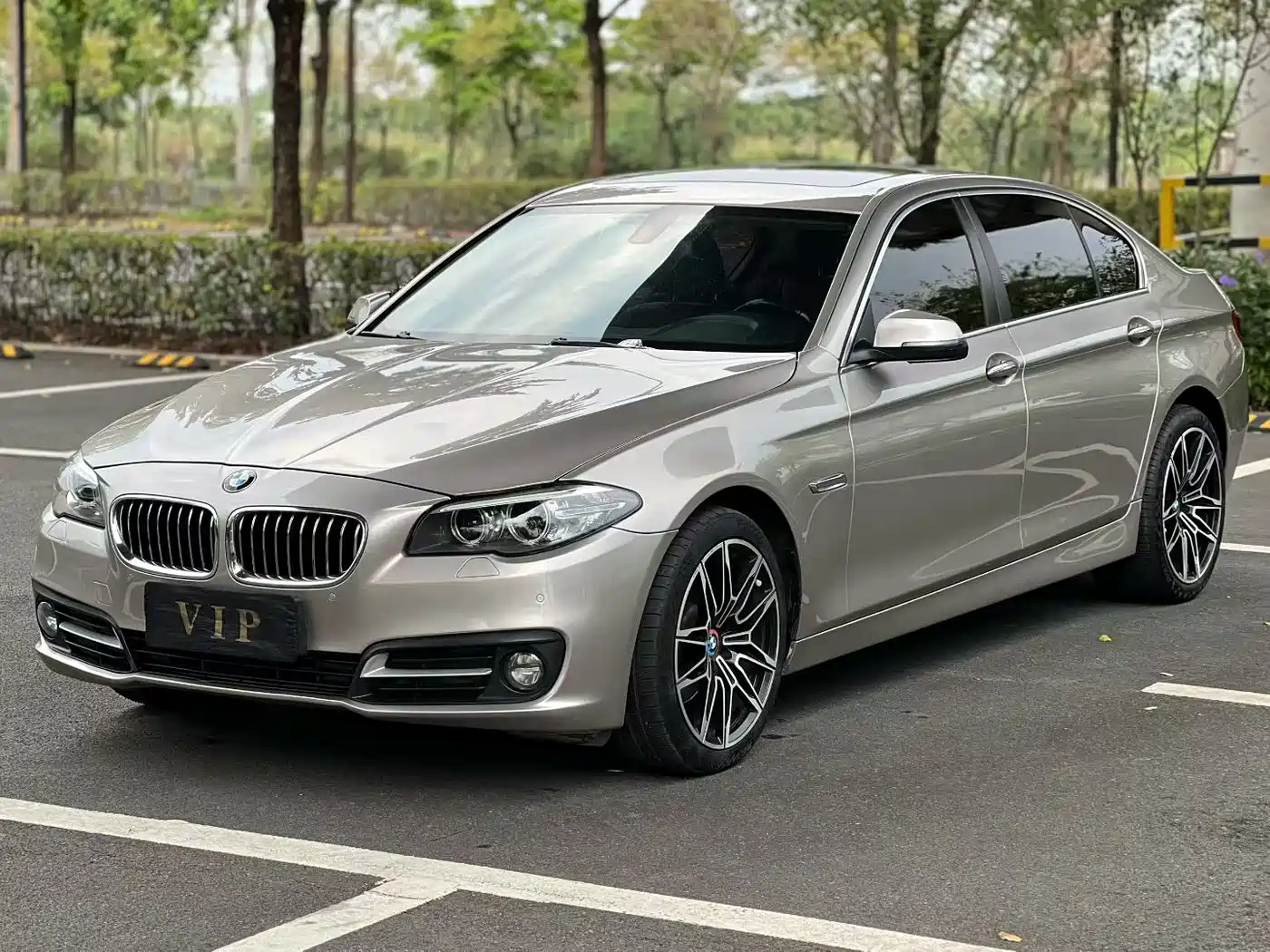 BMW 5 Series 2014 525Li Leading