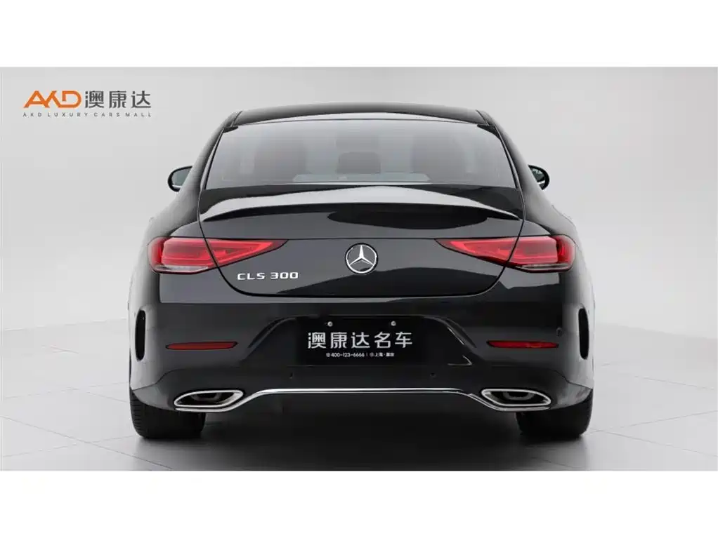 Mercedes-Benz CLS 2024 2023 Model CLS 300 Luxury Version