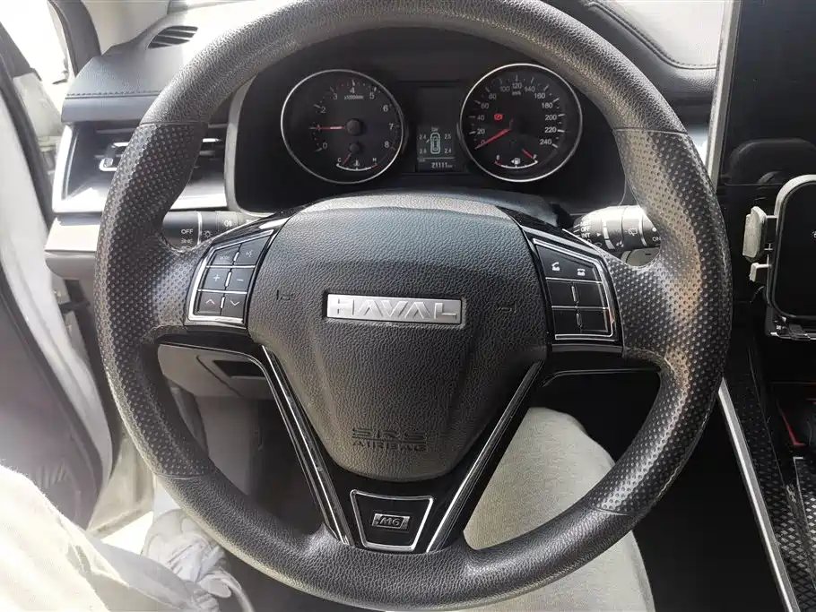 HAVAL M6