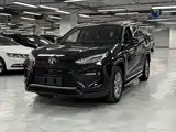 Фото 1 - Toyota Wildlander