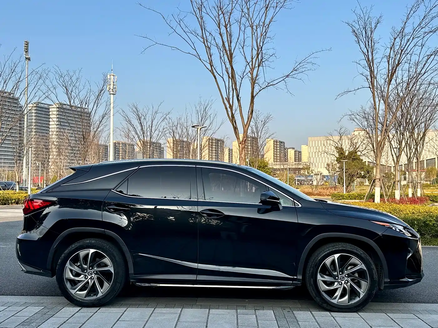 Lexus RX 2016 300 4WD Elegance Edition (China V) фото 7