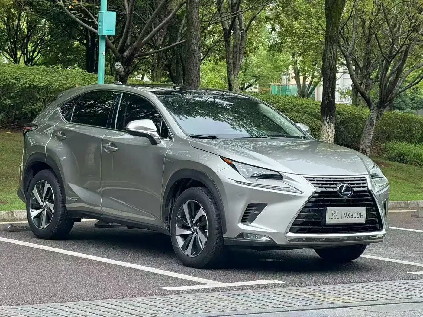 Фото 1 - Lexus NX