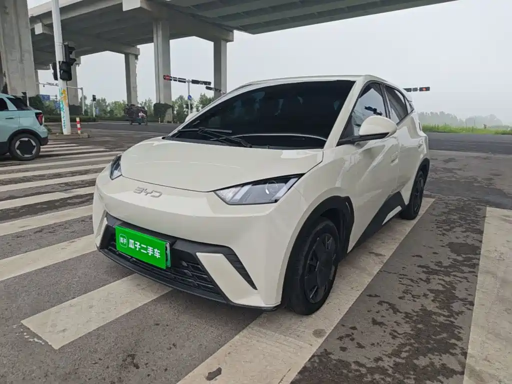 BYD Seagull 2025 305km Vitality
