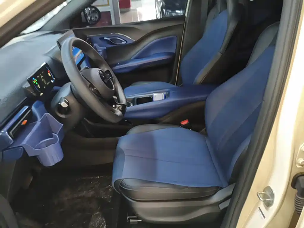 BYD Seagull 2026 2025 Smart Drive Edition 305km Vitality Version