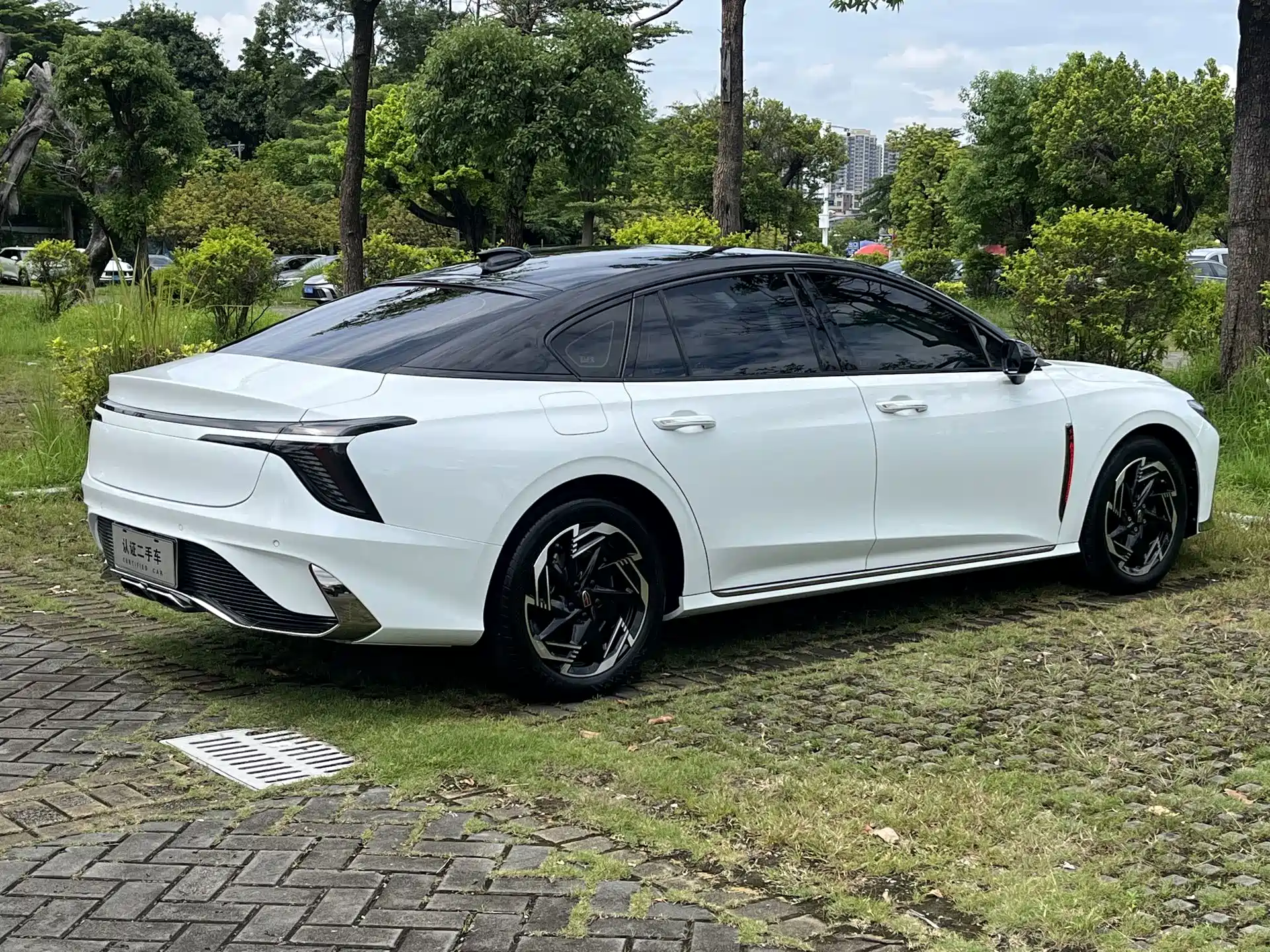 Фото 6 - Hongqi H6