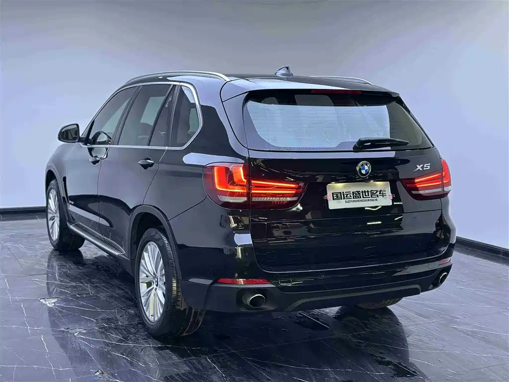 BMW X5 (Import) 2014 xDrive35i Leading фото 6