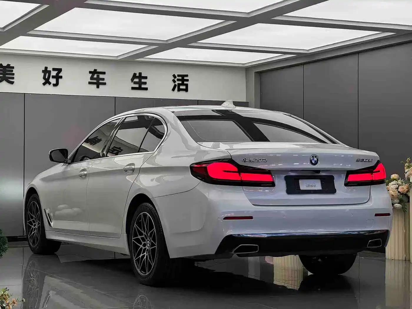 BMW 5 Series 2021 530Li Leading Luxury Package фото 7
