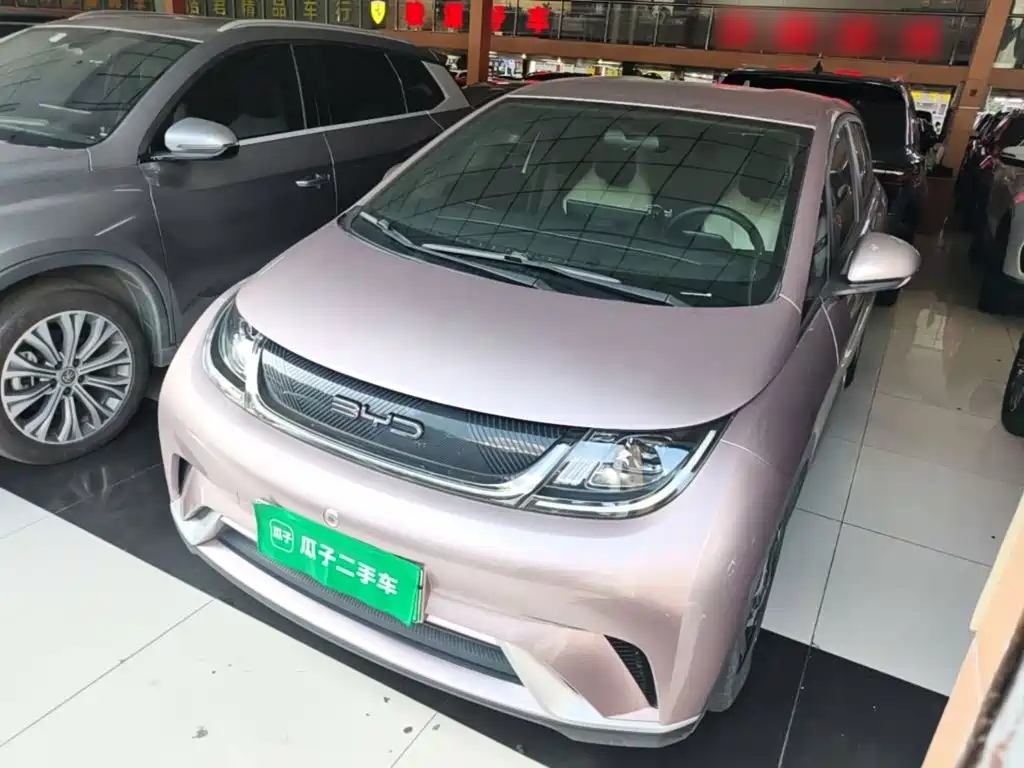 BYD Dolphin 2021 — пригон из Китая
