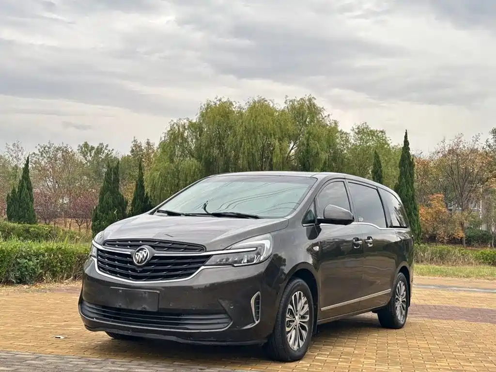 Фото 1 - Buick GL8