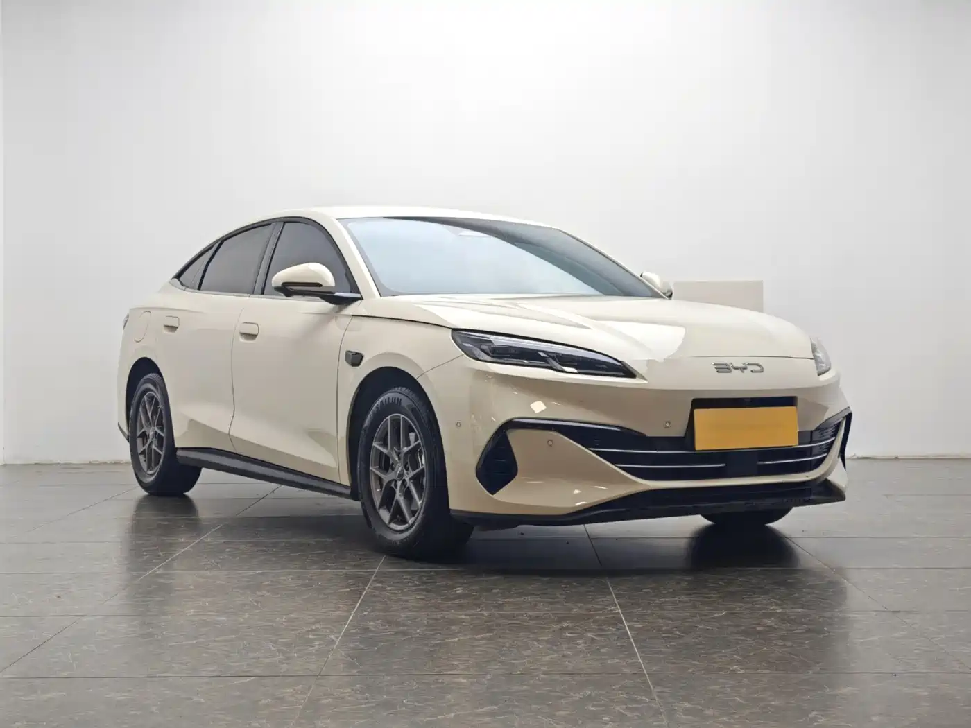 BYD Seal 06 New Energy 2025 DM-i Smart Drive 80KM Luxury фото 2
