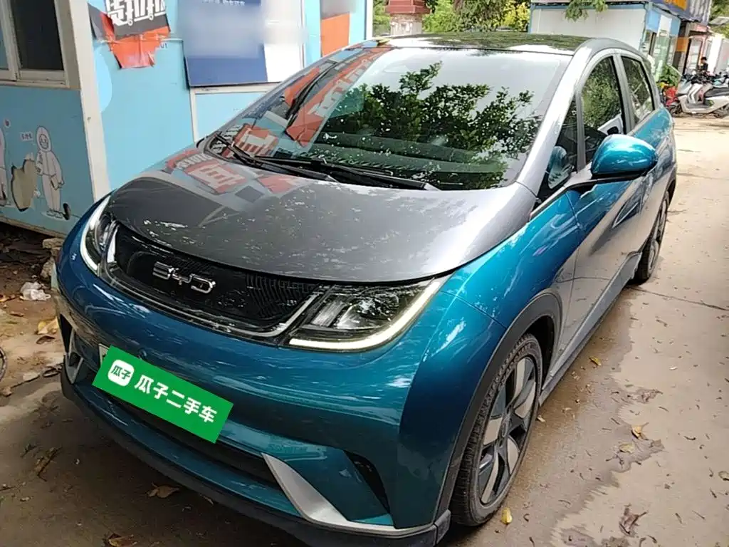 BYD Dolphin 2021